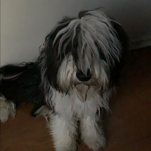 Meet your Posher, Lynne